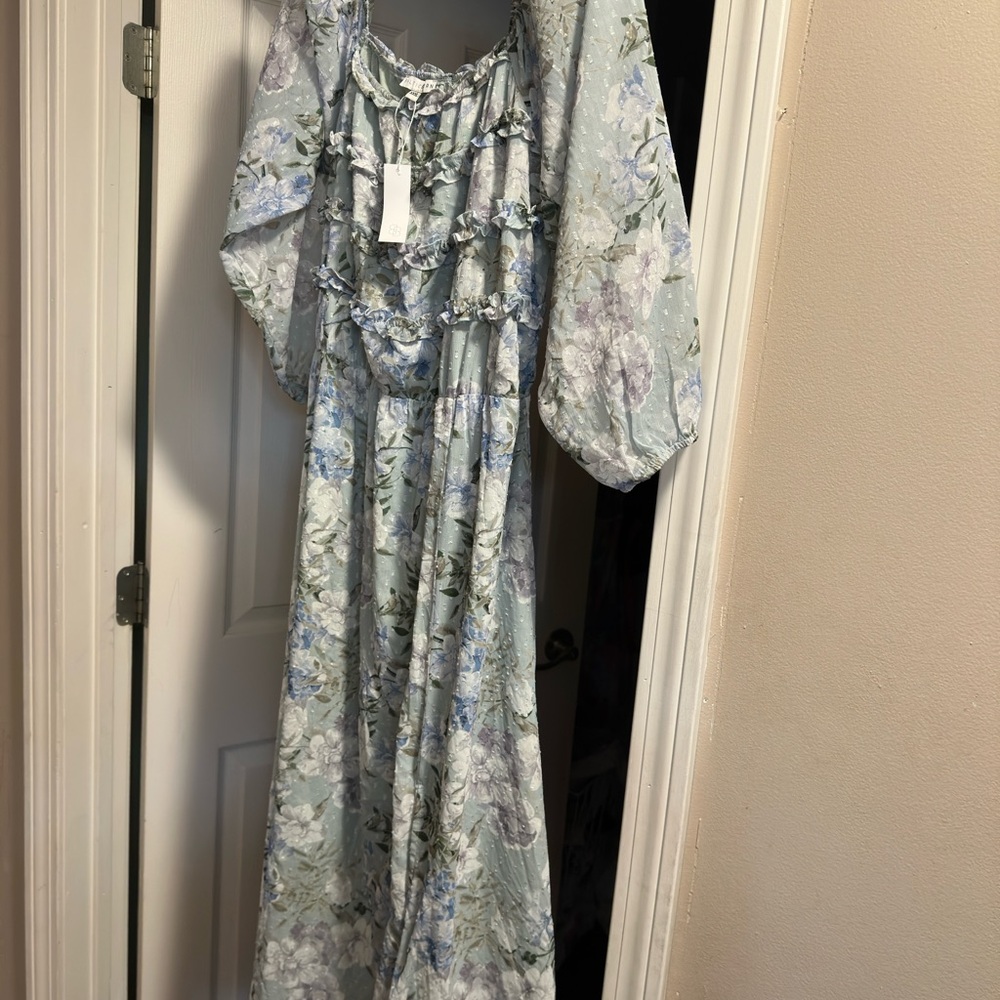 Baltic Born Floral Long Sleeve Maxi Dress